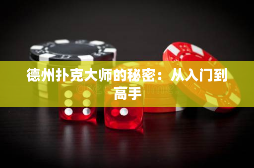 德州扑克大师的秘密：从入门到高手
