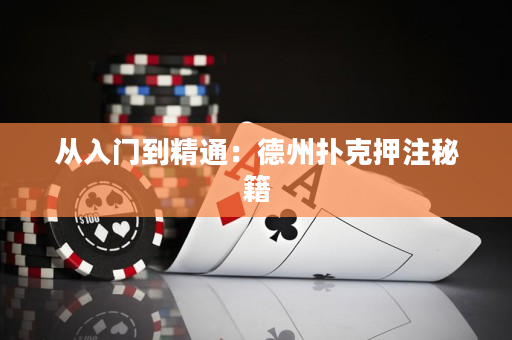 从入门到精通：德州扑克押注秘籍