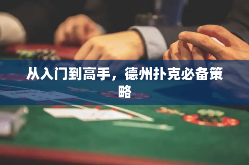从入门到高手，德州扑克必备策略