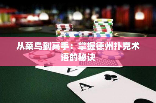 从菜鸟到高手：掌握德州扑克术语的秘诀