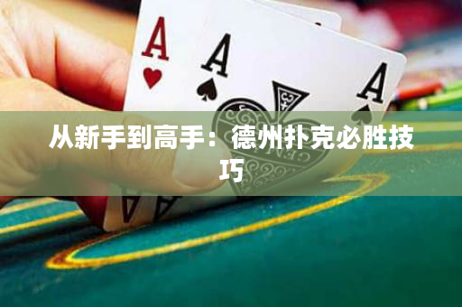从新手到高手：德州扑克必胜技巧