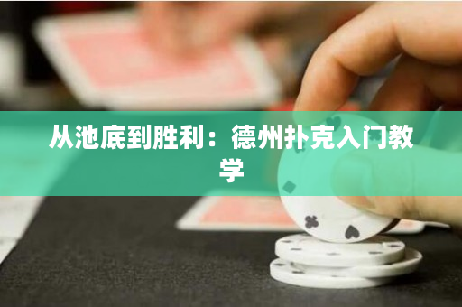 从池底到胜利：德州扑克入门教学
