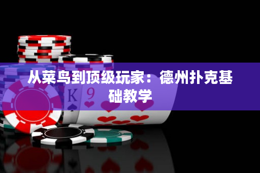 从菜鸟到顶级玩家：德州扑克基础教学