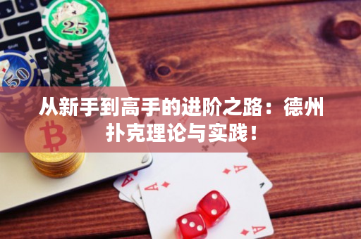 从新手到高手的进阶之路：德州扑克理论与实践！