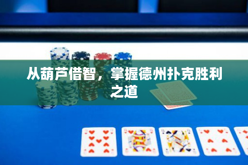 从葫芦借智，掌握德州扑克胜利之道