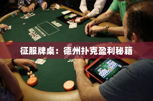 征服牌桌：德州扑克盈利秘籍