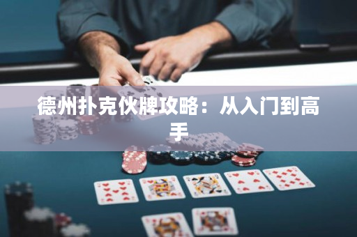 德州扑克伙牌攻略：从入门到高手