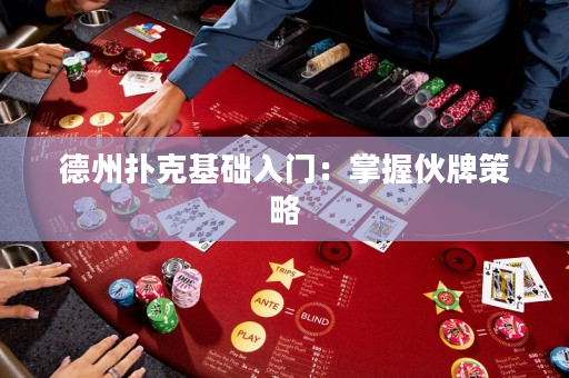 德州扑克基础入门：掌握伙牌策略