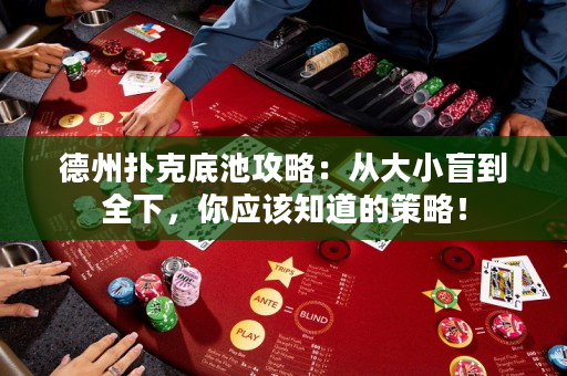 德州扑克底池攻略：从大小盲到全下，你应该知道的策略！