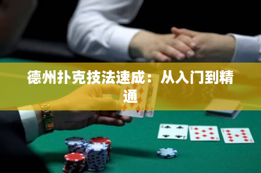 德州扑克技法速成：从入门到精通