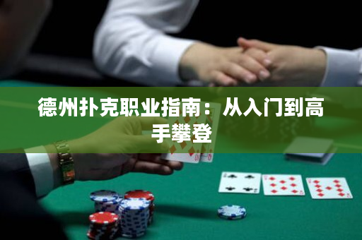 德州扑克职业指南：从入门到高手攀登