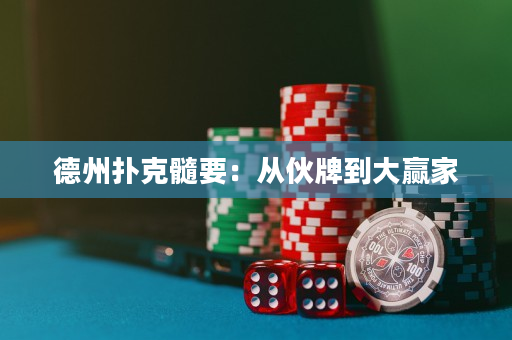 德州扑克髓要：从伙牌到大赢家