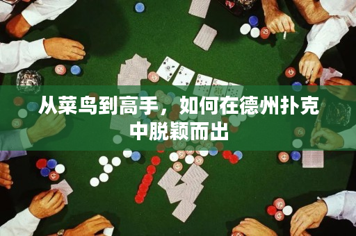 从菜鸟到高手，如何在德州扑克中脱颖而出