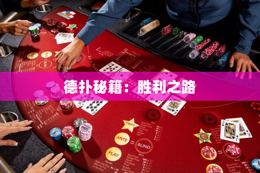 德扑秘籍：胜利之路