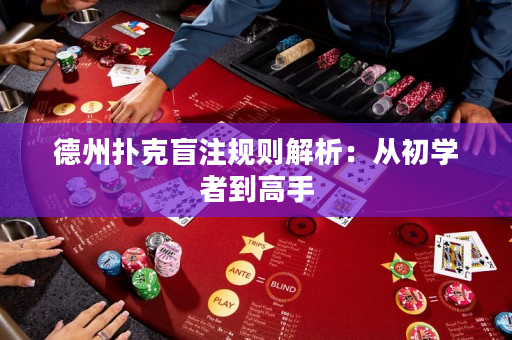 德州扑克盲注规则解析：从初学者到高手