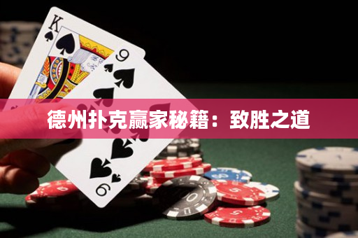 德州扑克赢家秘籍：致胜之道