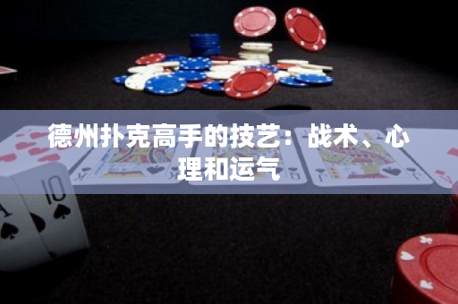 德州扑克高手的技艺：战术、心理和运气