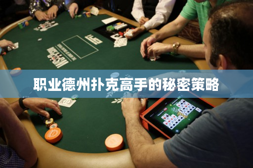 职业德州扑克高手的秘密策略