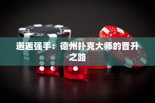 邂逅强手：德州扑克大师的晋升之路