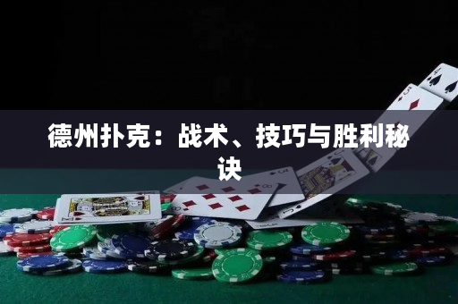 德州扑克：战术、技巧与胜利秘诀