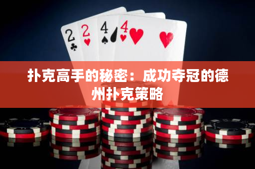 扑克高手的秘密：成功夺冠的德州扑克策略