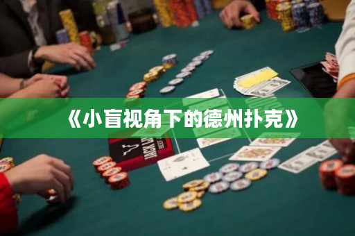 《小盲视角下的德州扑克》