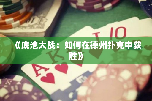 《底池大战：如何在德州扑克中获胜》