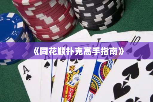 《同花顺扑克高手指南》