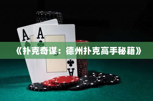 《扑克奇谋：德州扑克高手秘籍》