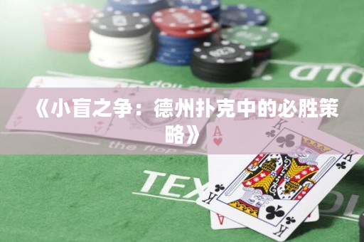 《小盲之争：德州扑克中的必胜策略》