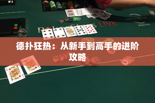 德扑狂热：从新手到高手的进阶攻略