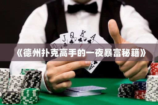 《德州扑克高手的一夜暴富秘籍》
