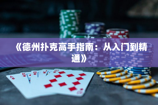 《德州扑克高手指南：从入门到精通》