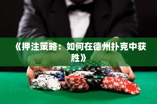 《押注策略：如何在德州扑克中获胜》