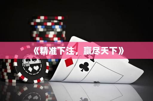 《精准下注，赢尽天下》