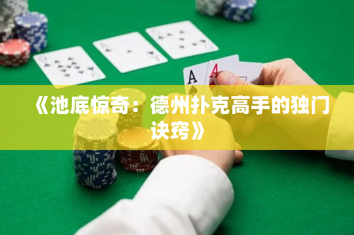 《池底惊奇：德州扑克高手的独门诀窍》
