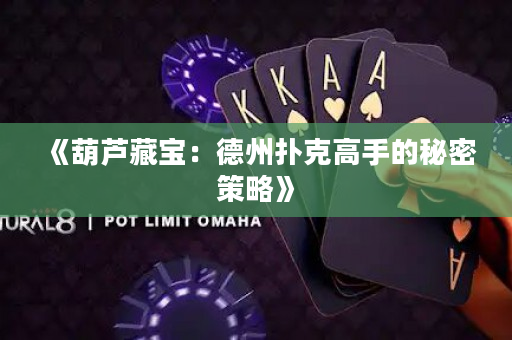 《葫芦藏宝：德州扑克高手的秘密策略》
