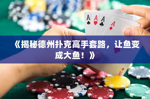 《揭秘德州扑克高手套路，让鱼变成大鱼！》