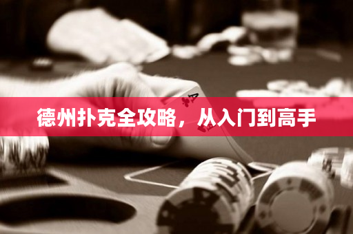 德州扑克全攻略，从入门到高手