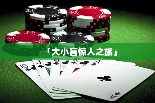 「大小盲惊人之旅」