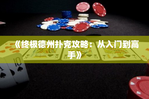 《终极德州扑克攻略：从入门到高手》