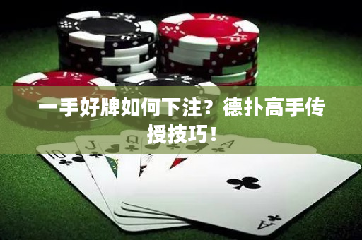 一手好牌如何下注？德扑高手传授技巧！