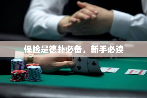 保险是德扑必备，新手必读