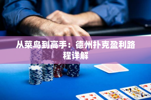 从菜鸟到高手：德州扑克盈利路程详解