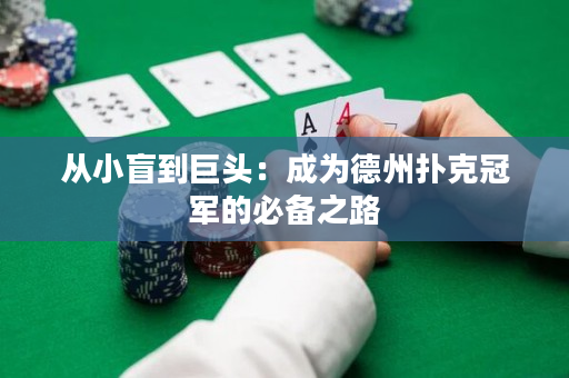 从小盲到巨头：成为德州扑克冠军的必备之路