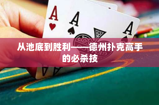 从池底到胜利——德州扑克高手的必杀技