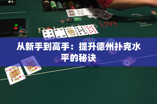 从新手到高手：提升德州扑克水平的秘诀