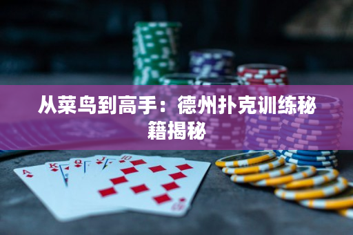 从菜鸟到高手：德州扑克训练秘籍揭秘