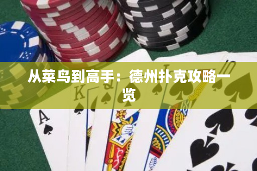从菜鸟到高手：德州扑克攻略一览