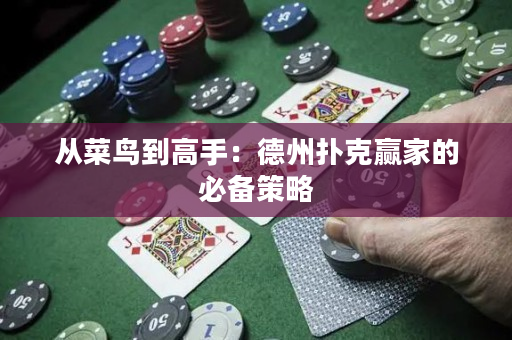 从菜鸟到高手：德州扑克赢家的必备策略